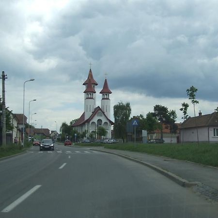 Anca Apartment Braszów Zewnętrze zdjęcie