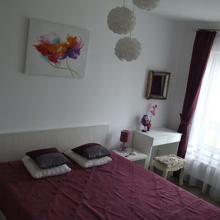Anca Apartment Braszów Zewnętrze zdjęcie
