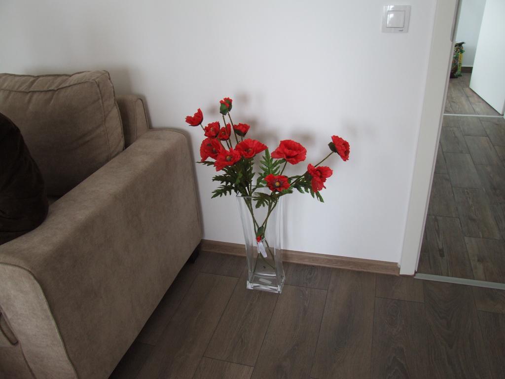 Anca Apartment Braszów Zewnętrze zdjęcie