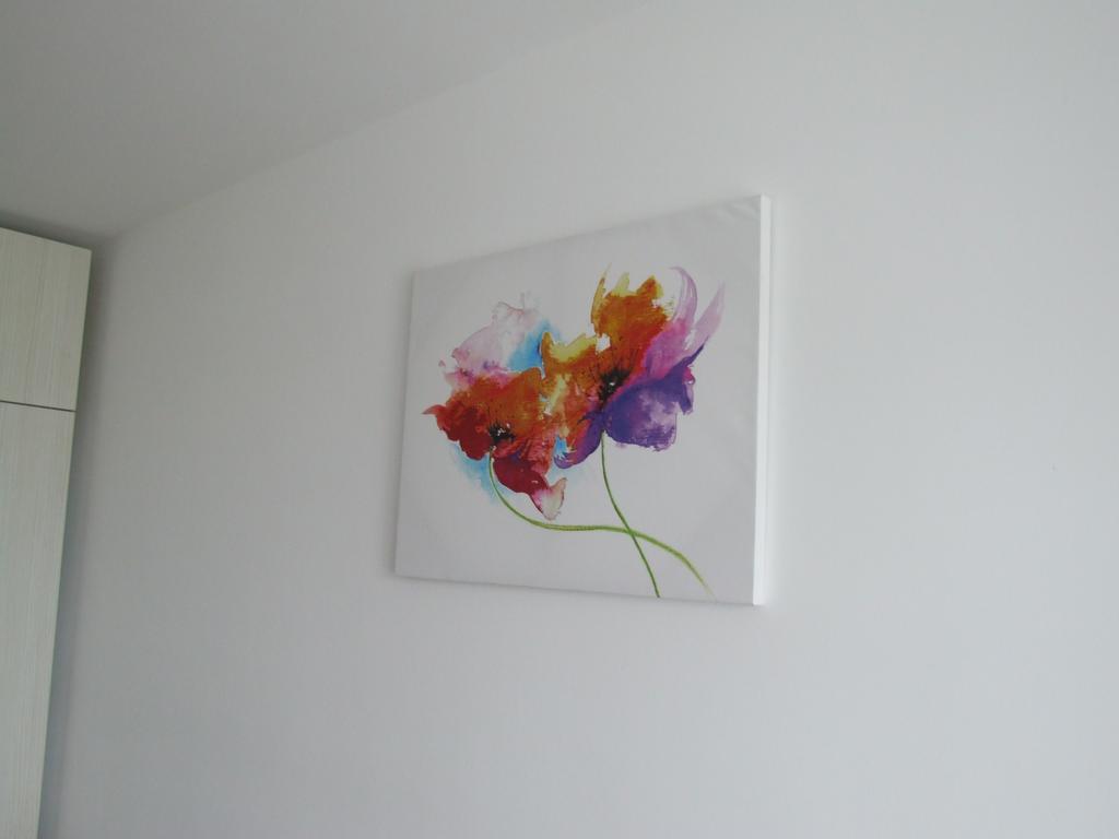 Anca Apartment Braszów Zewnętrze zdjęcie
